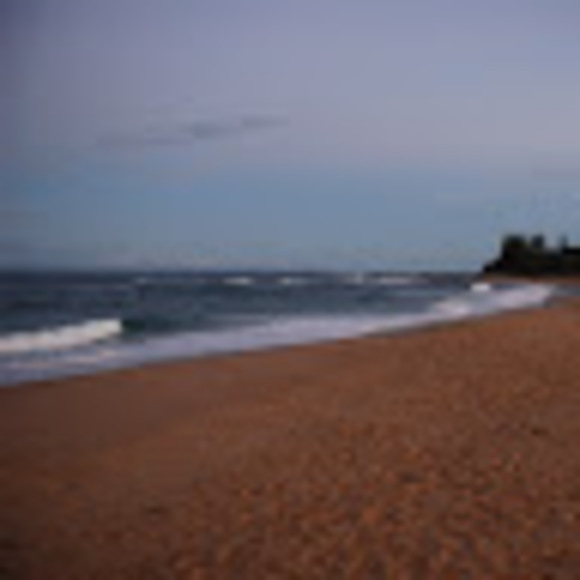 Meet your Posher, Grace - Picture 1 of 1